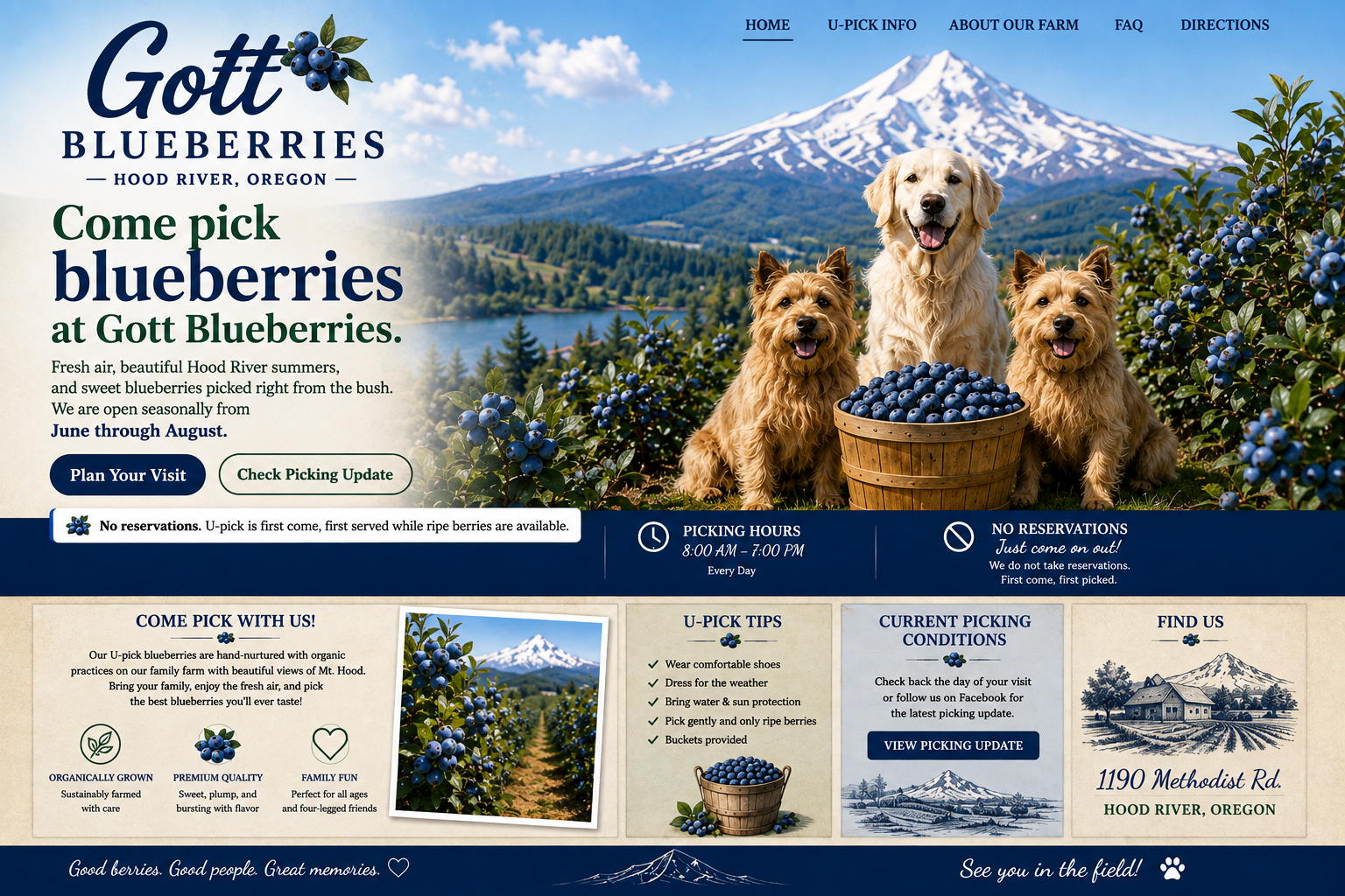 Gott Blueberries U-pick farm website featuring Mt. Hood, blueberries, an English Cream Golden Retriever, two Norfolk Terriers, picking hours 8 AM to 7 PM, no reservations, and the address 1190 Methodist Rd., Hood River, Oregon.